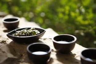 茶与生活,以茶养性,以茶健身