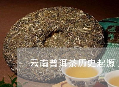 云南普洱茶 一杯承载千年历的神秘饮品